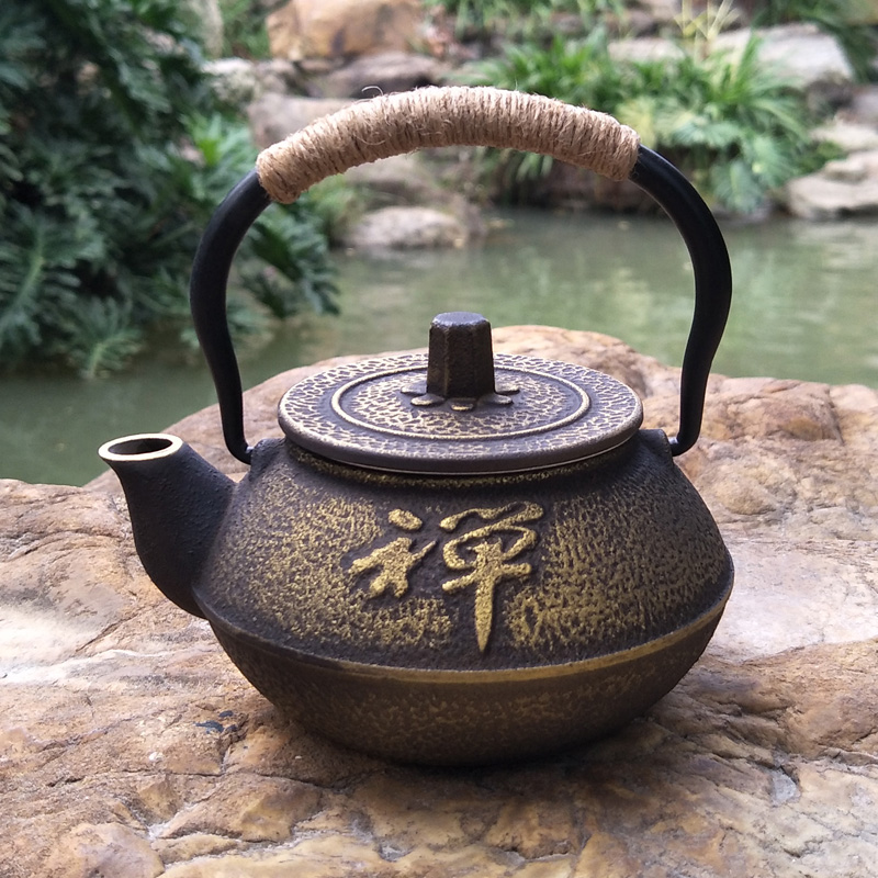 Cast Iron Teapot - Théière en fonte bouilloire Tetsubin japonais