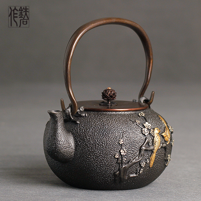 Nouvelle théière en fonte théi - Cast Iron Teapot avis et prix