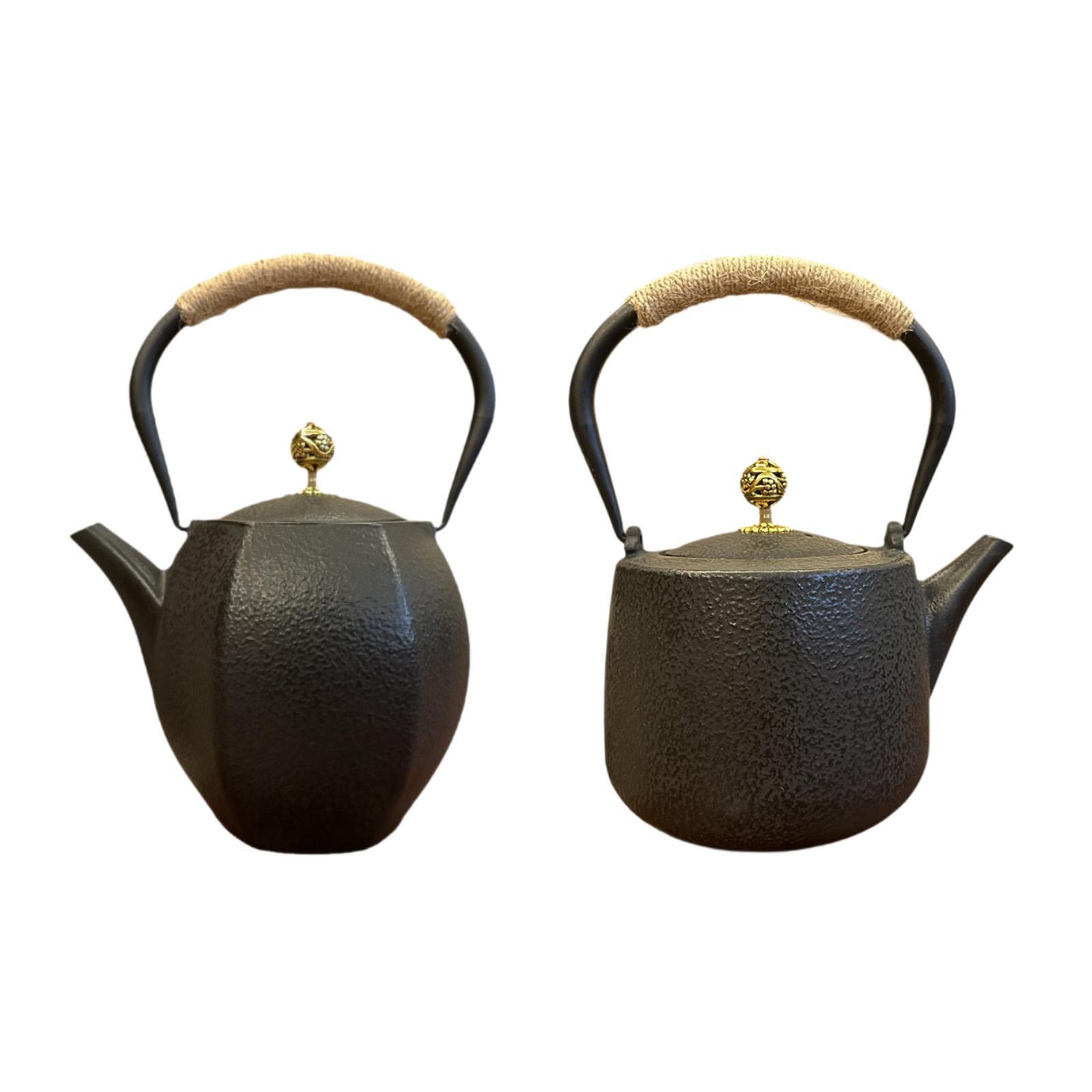 Théière japonaise bouilloire à - Cast Iron Teapot avis et prix