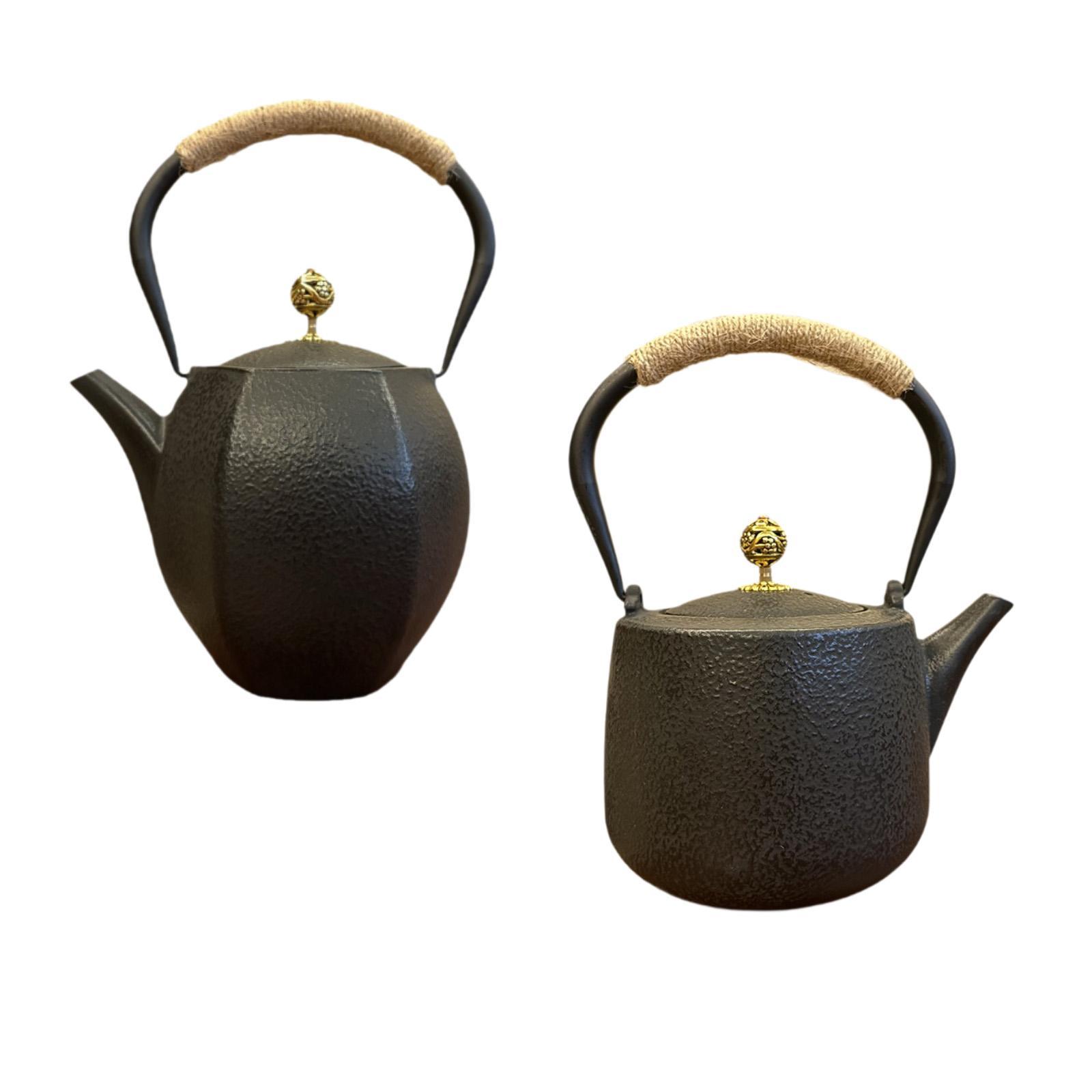 Théière japonaise bouilloire à - Cast Iron Teapot avis et prix