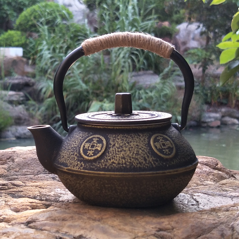 Théière en fonte bouilloire Te - Cast Iron Teapot avis et prix