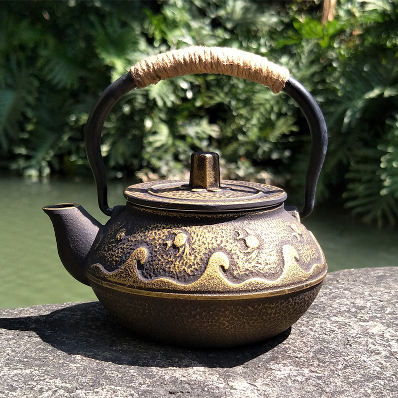 Théière en fonte bouilloire Te - Cast Iron Teapot avis et prix